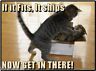 Funny Cat Humor If It Fits Its Ships Refrigerator Magnet