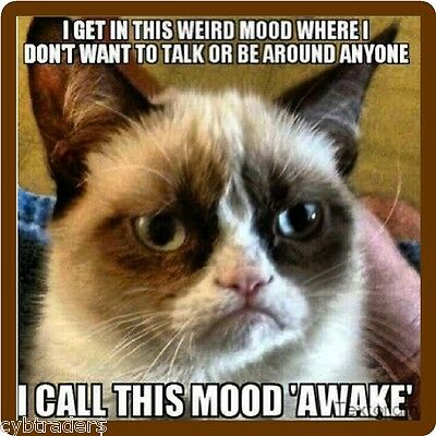 Funny Grumpy Cat Mood Awake  Refrigerator Magnet